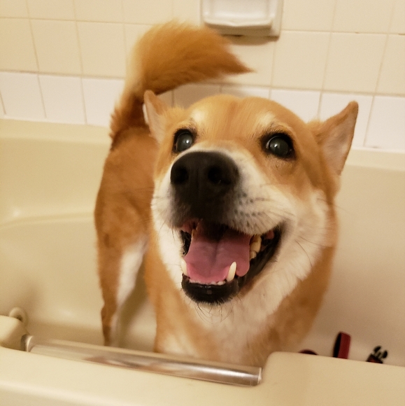 Unlisted Items - Picture 2 of 3